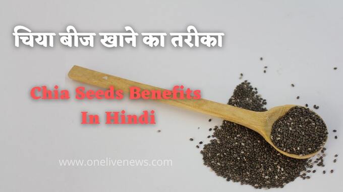 Chia Seeds Benefits In Hindi